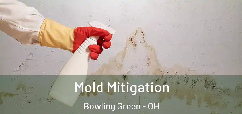  Mold Mitigation Bowling Green - OH