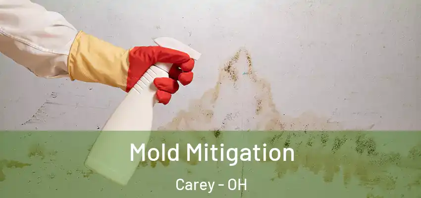  Mold Mitigation Carey - OH