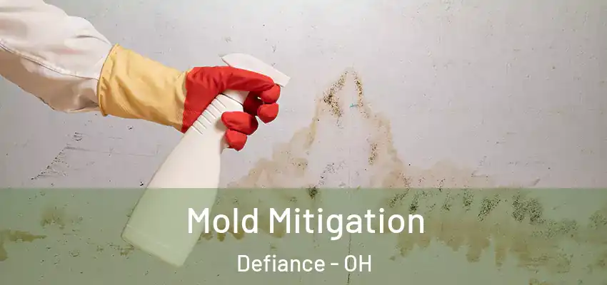  Mold Mitigation Defiance - OH