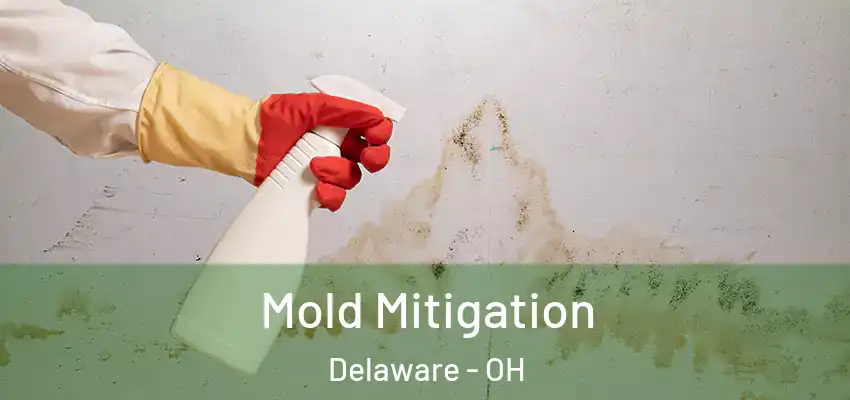 Mold Mitigation Delaware - OH