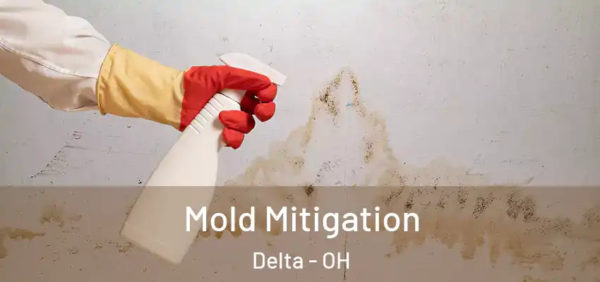 Mold Mitigation Delta - OH