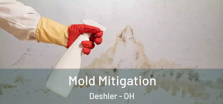 Mold Mitigation Deshler - OH