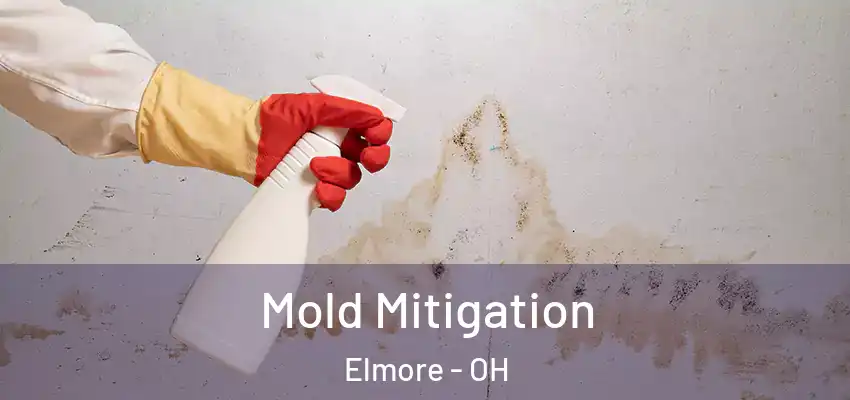  Mold Mitigation Elmore - OH