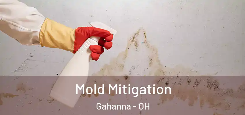 Mold Mitigation Gahanna - OH