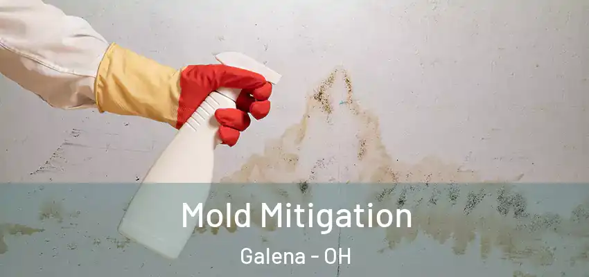  Mold Mitigation Galena - OH