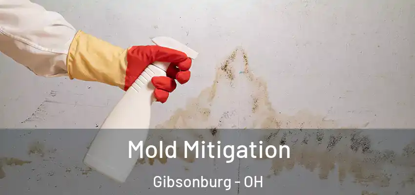 Mold Mitigation Gibsonburg - OH