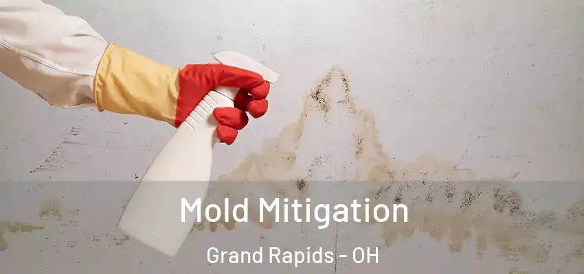  Mold Mitigation Grand Rapids - OH