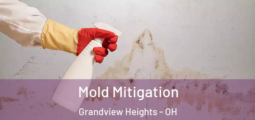  Mold Mitigation Grandview Heights - OH