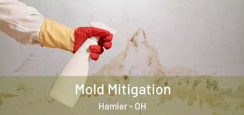 Mold Mitigation Hamler - OH