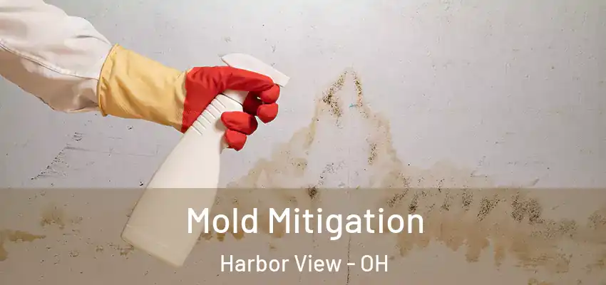  Mold Mitigation Harbor View - OH