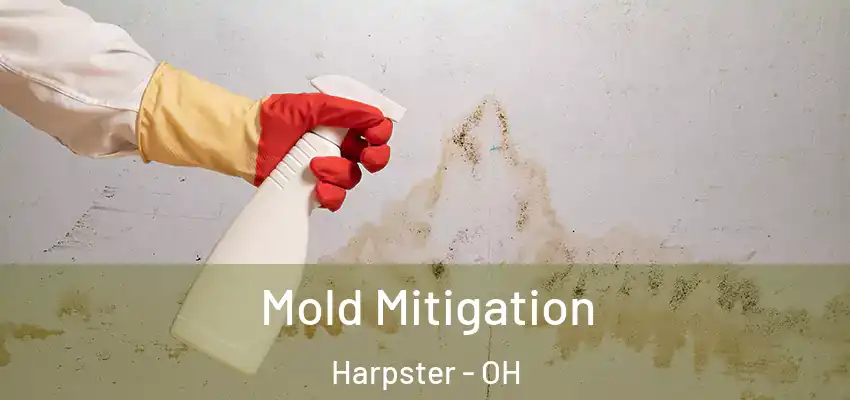  Mold Mitigation Harpster - OH
