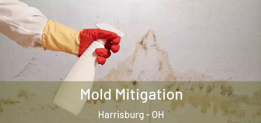 Mold Mitigation Harrisburg - OH