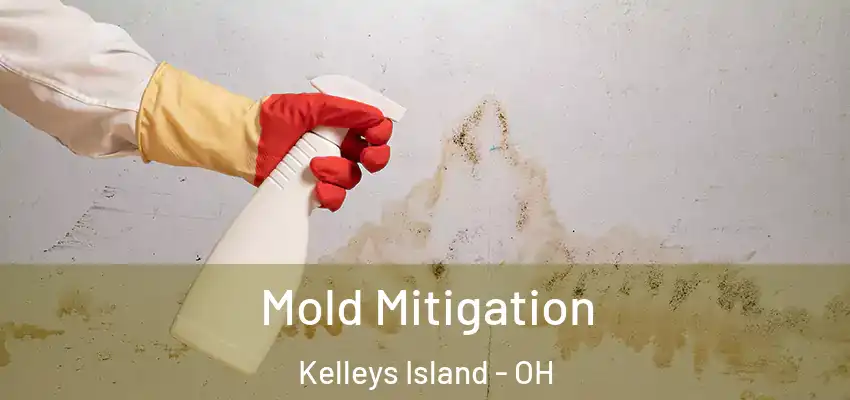  Mold Mitigation Kelleys Island - OH