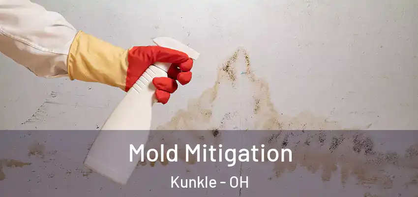  Mold Mitigation Kunkle - OH