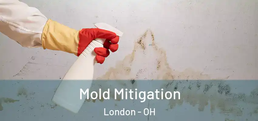 Mold Mitigation London - OH