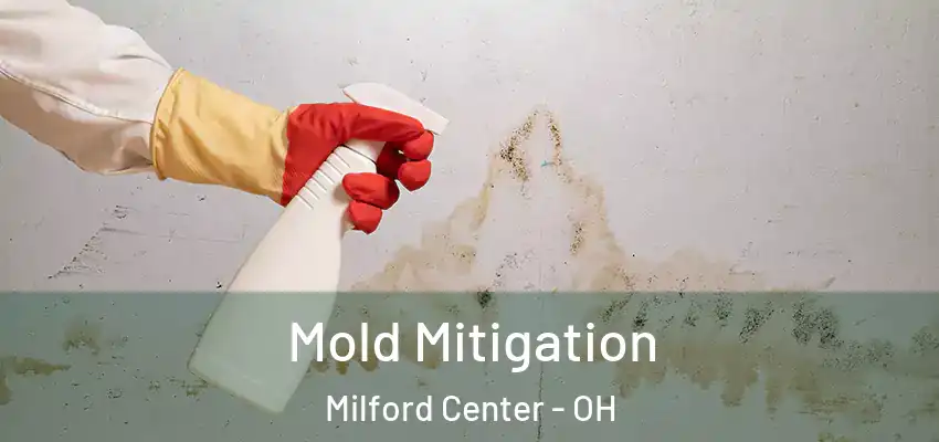  Mold Mitigation Milford Center - OH