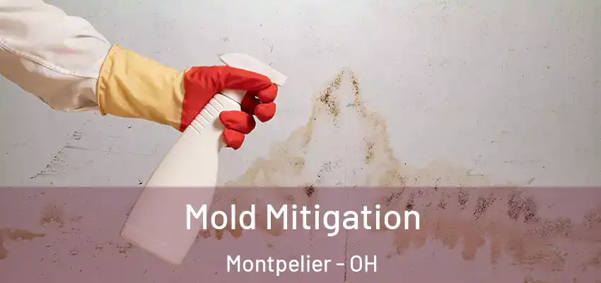 Mold Mitigation Montpelier - OH