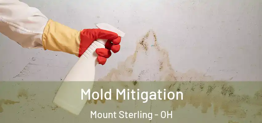  Mold Mitigation Mount Sterling - OH