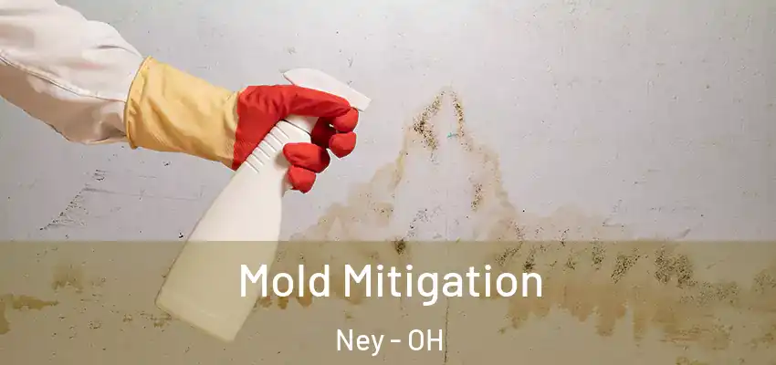  Mold Mitigation Ney - OH