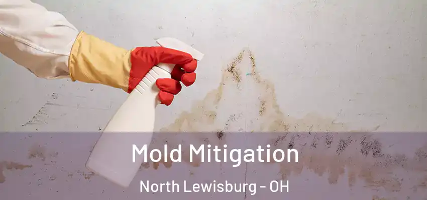  Mold Mitigation North Lewisburg - OH