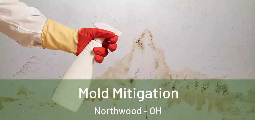  Mold Mitigation Northwood - OH