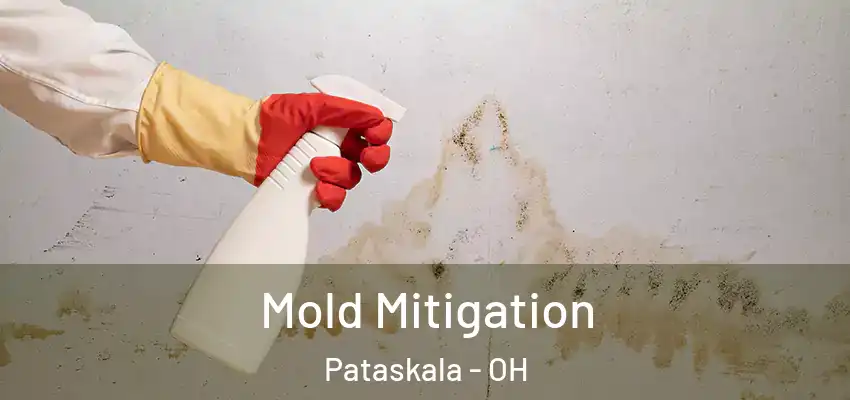  Mold Mitigation Pataskala - OH