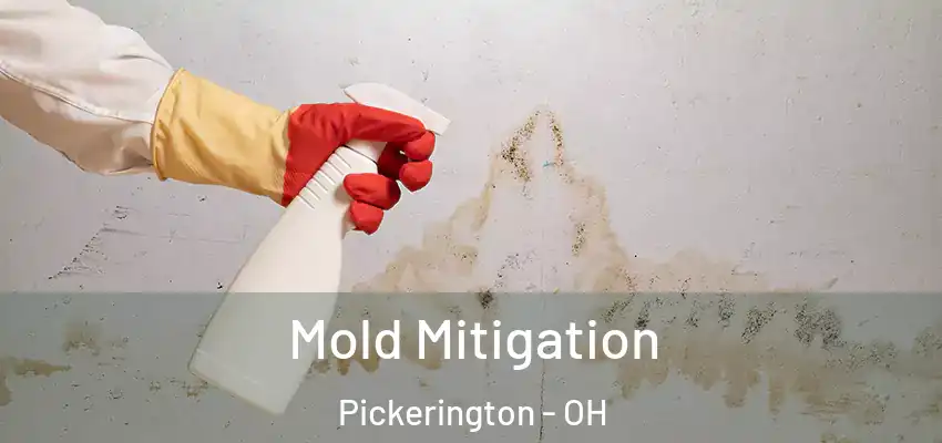  Mold Mitigation Pickerington - OH
