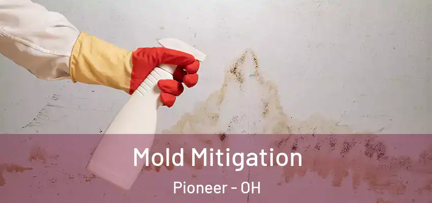 Mold Mitigation Pioneer - OH