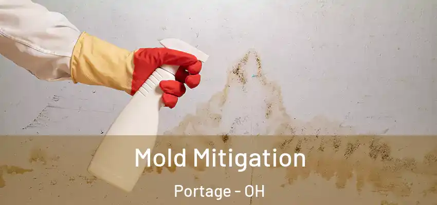  Mold Mitigation Portage - OH