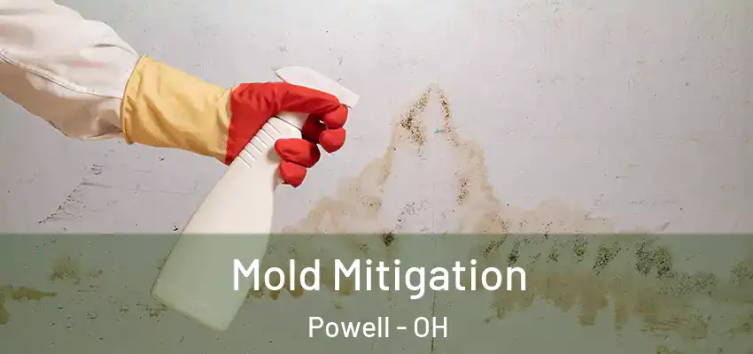  Mold Mitigation Powell - OH