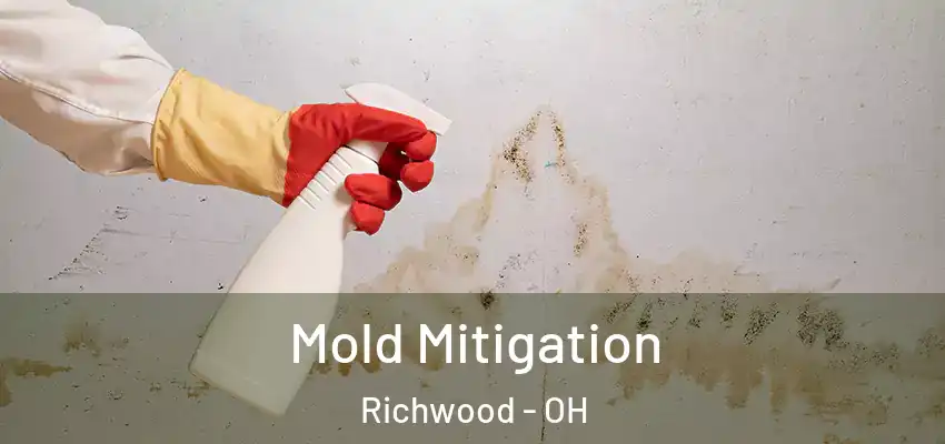 Mold Mitigation Richwood - OH