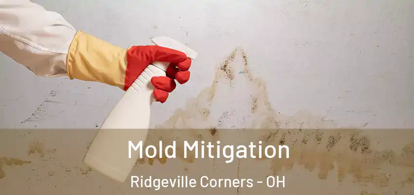  Mold Mitigation Ridgeville Corners - OH