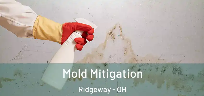  Mold Mitigation Ridgeway - OH