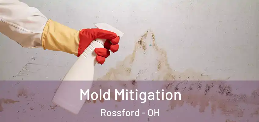  Mold Mitigation Rossford - OH