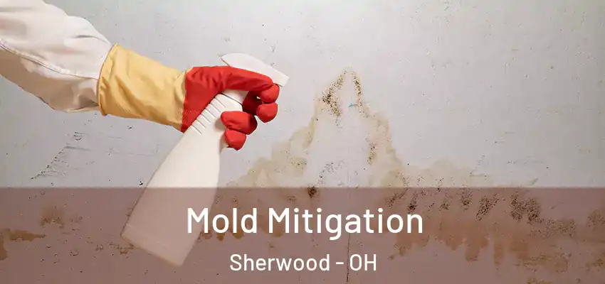  Mold Mitigation Sherwood - OH