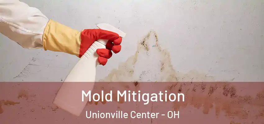  Mold Mitigation Unionville Center - OH