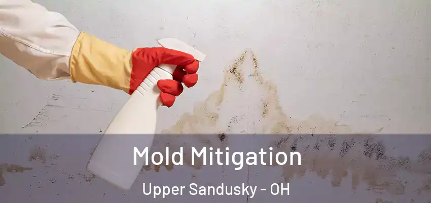 Mold Mitigation Upper Sandusky - OH