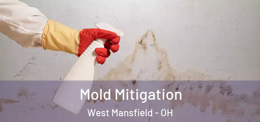  Mold Mitigation West Mansfield - OH