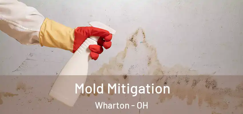  Mold Mitigation Wharton - OH