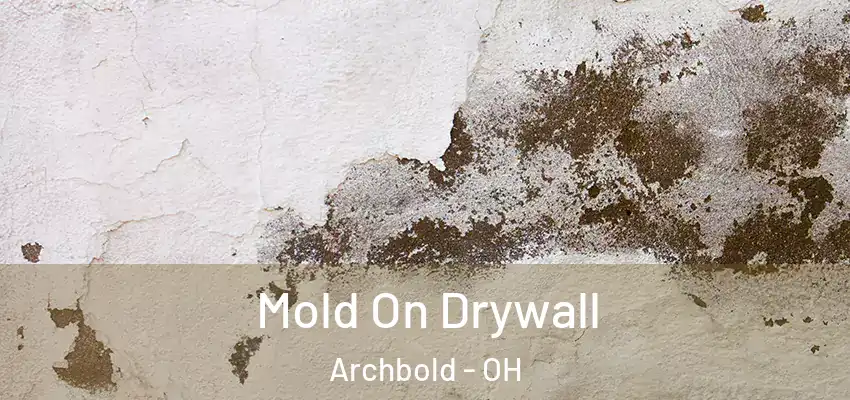  Mold On Drywall Archbold - OH