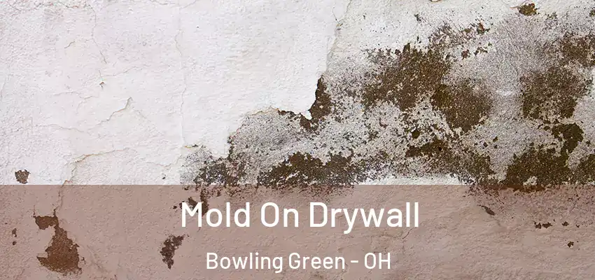  Mold On Drywall Bowling Green - OH