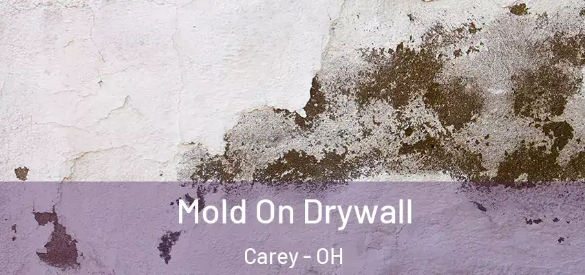  Mold On Drywall Carey - OH