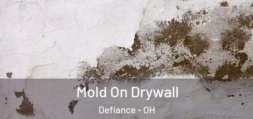Mold On Drywall Defiance - OH