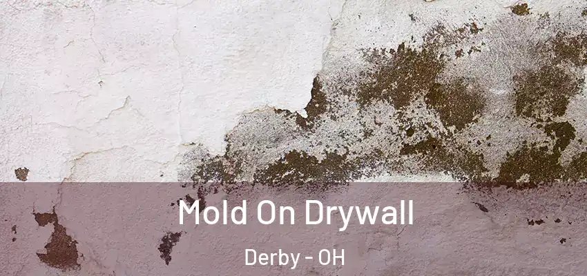  Mold On Drywall Derby - OH