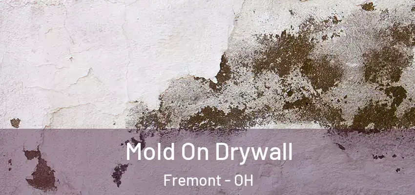  Mold On Drywall Fremont - OH