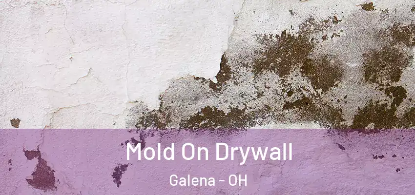  Mold On Drywall Galena - OH