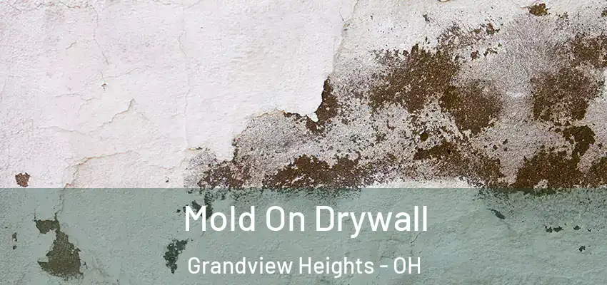 Mold On Drywall Grandview Heights - OH