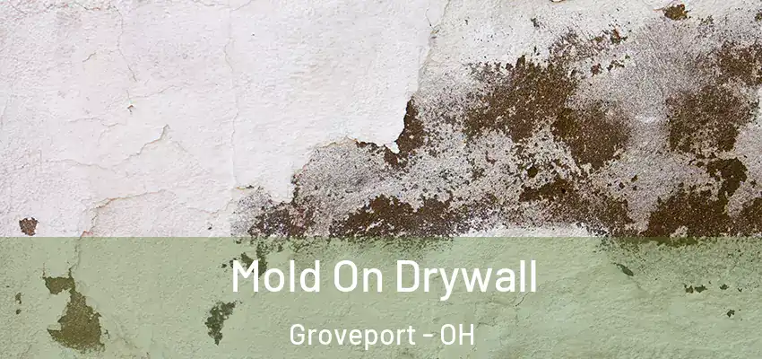  Mold On Drywall Groveport - OH