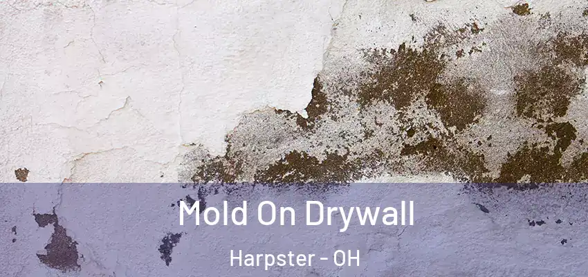  Mold On Drywall Harpster - OH
