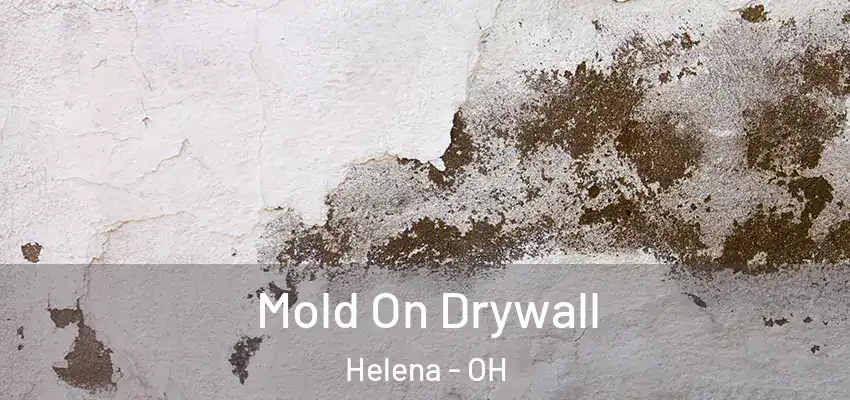 Mold On Drywall Helena - OH